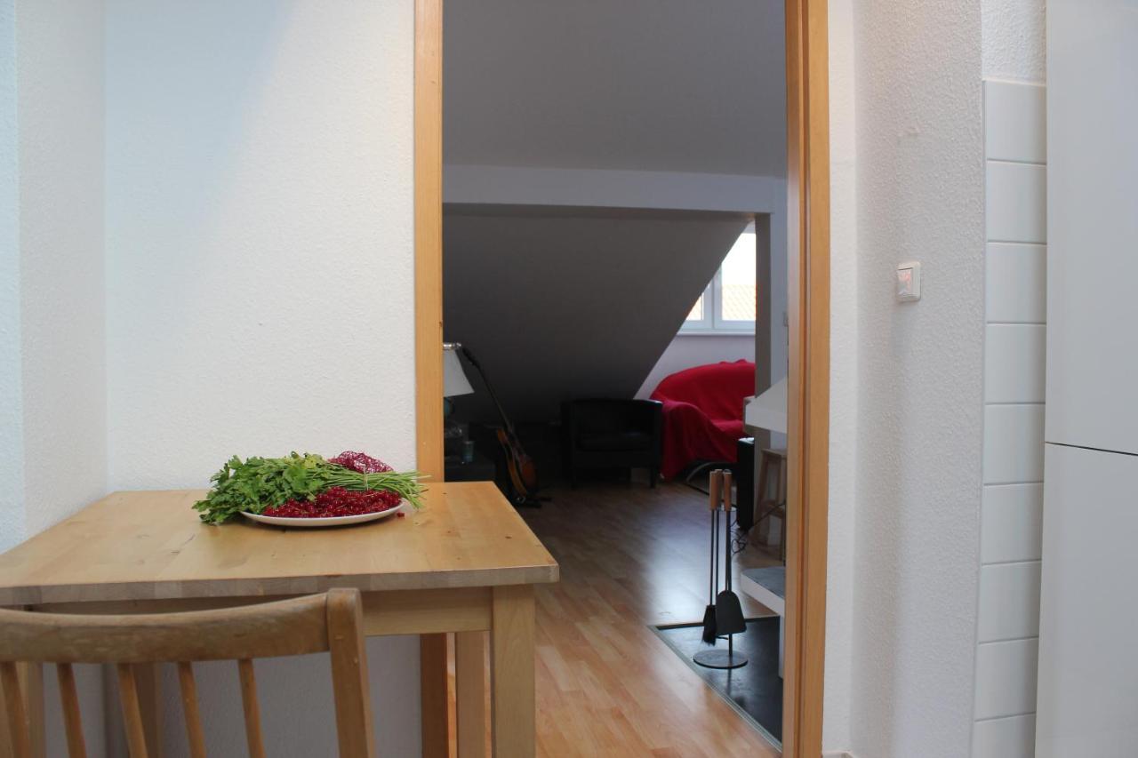 Apartment Rooftop Loft Mitte&bikes *