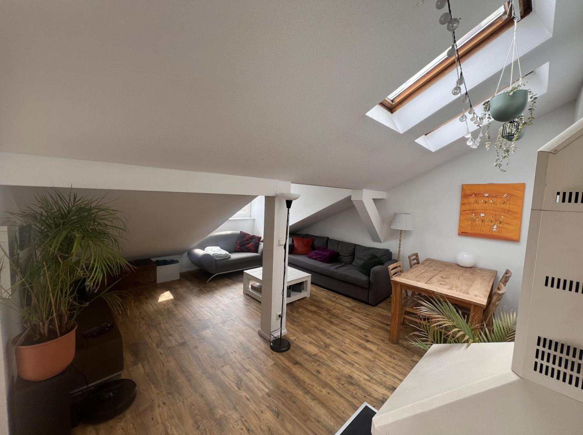 Apartment Rooftop Loft Mitte&bikes Berlin